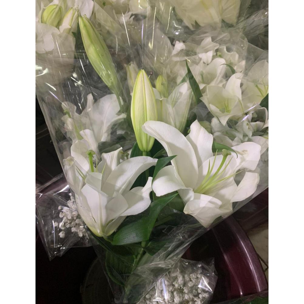 Bunga Lily Fresh Asli Per Tangkai Warna Putih/Pink/Kuning