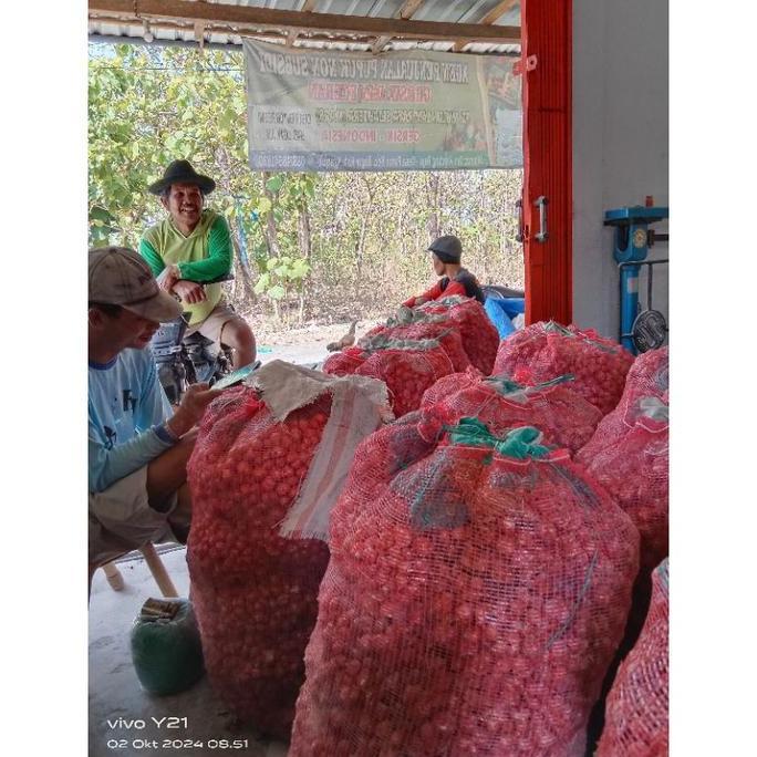 Bibit Bawang Merah NGANJUK 1 KG ( Bibit ukuran kecil)