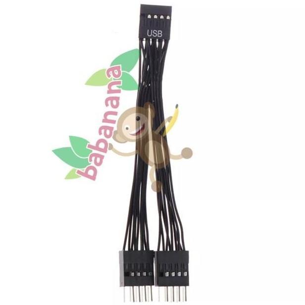 Extension Splitter USB 9 pin Motherboard 1 Female to 2 Male AIO
