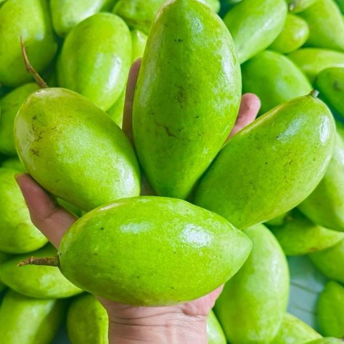 Fruting- Mangga Muda Mentah Asam Segar