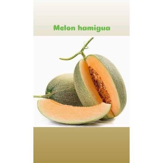 Fruting- Melon Hamikua | Melon Madu