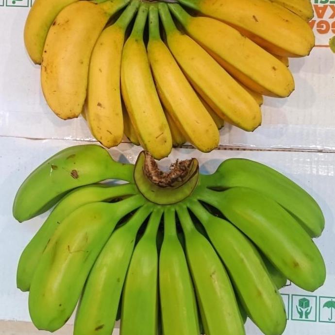 Fruting- Pisang | Pisang Kepok | Pisang Kepok Papua