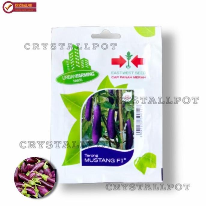 benih bibit terong ungu Mustang f1 cap panah merah - TERONG MUSTANG F1