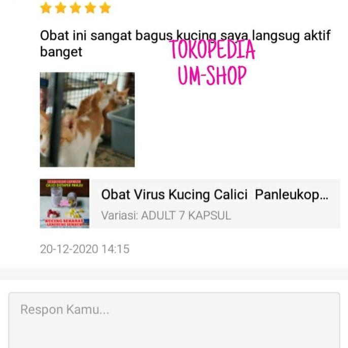 Catbull- Obat Antivirus Kucing Calici Distaper Virus Panleukopenia