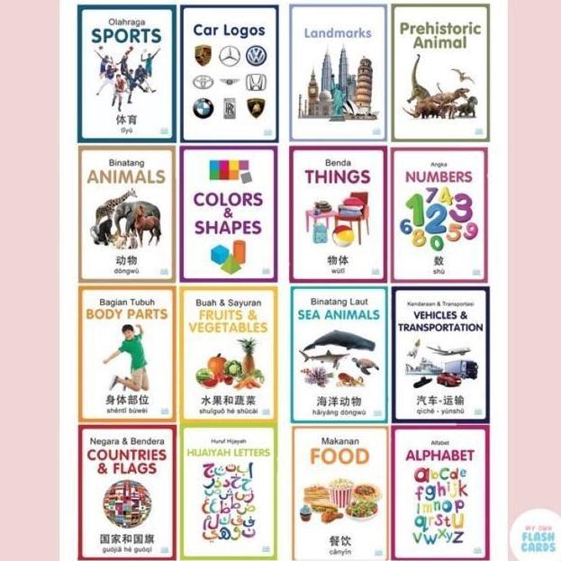 My Own Flashcards 3 bahasa / Flash Card Animal, Body Parts, Kartu Pintar Mainan Edukasi Flashcard An