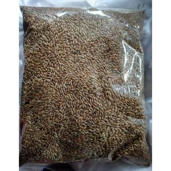 kenari seed 1 kg