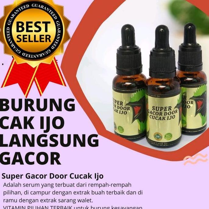 SUPER GACOR DOOR CUCAK IJO