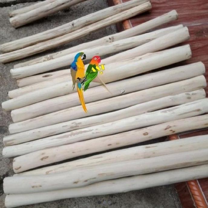 Tangkringan kayu kopi parrot panjang 60cm