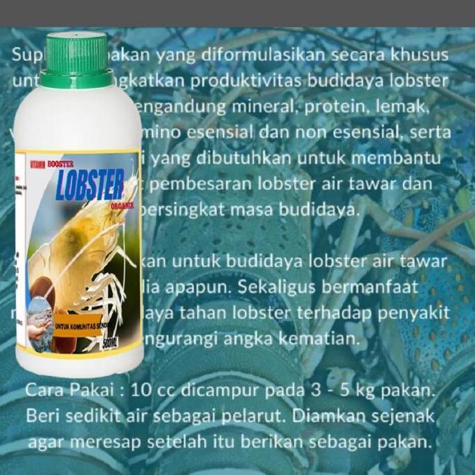 Vitamin Lobster Air Tawar Agar Cepat Besar / Suplemen Lobster Air Tawar Ternak Lobster Organik