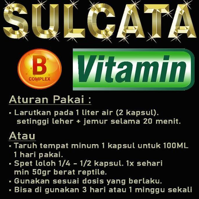 SULCATA VITAMIN BUBUK KAPSUL SUPLEMEN KESEHATAN TORTOISE CENTROCHELYS SULKATA MENYEMBUHKAN GANGGUAN 