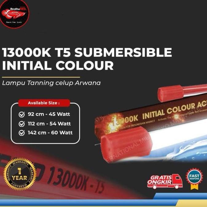 MAYIN TANNING LAMP 13000K