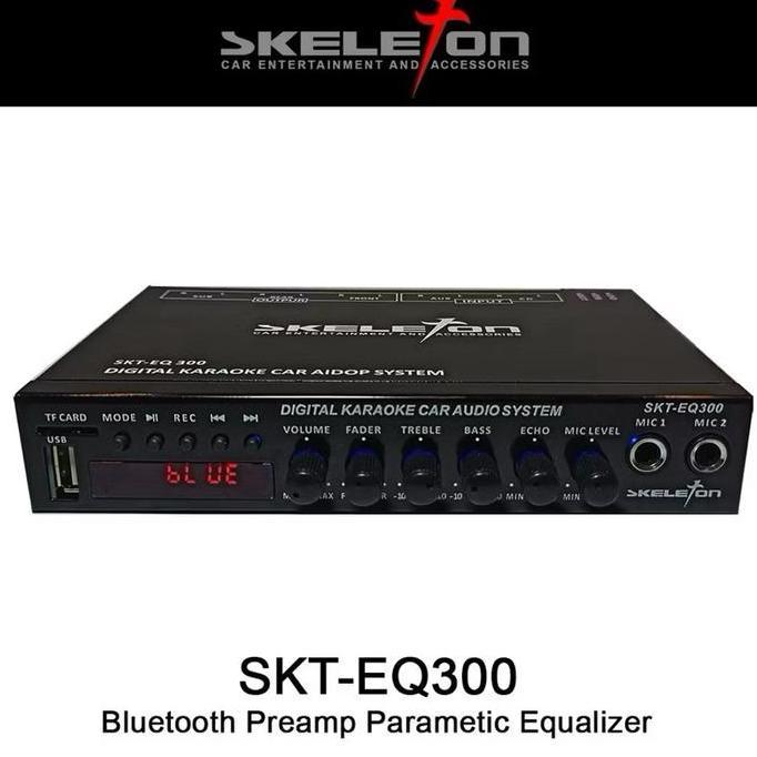 Parametric Equalizer Skeleton SKT-EQ300 Bluetooth USB Karoke Mobil