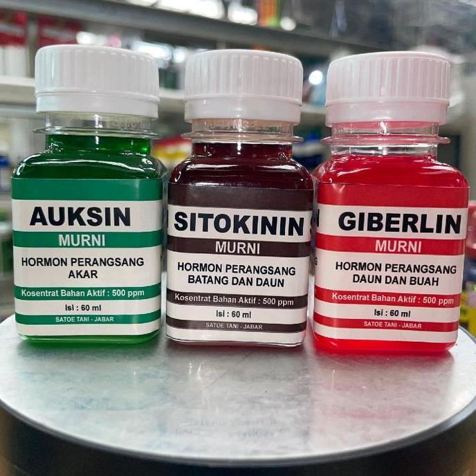 PAKET SITOKININ AUKSIN GIBERLIN Hormon pertumbuhan
