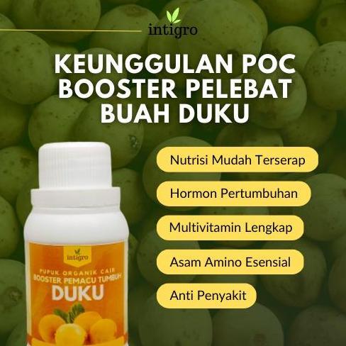 Pupuk Duku Super / Booster Pupuk Buah Duku / Booster Duku Berbuah