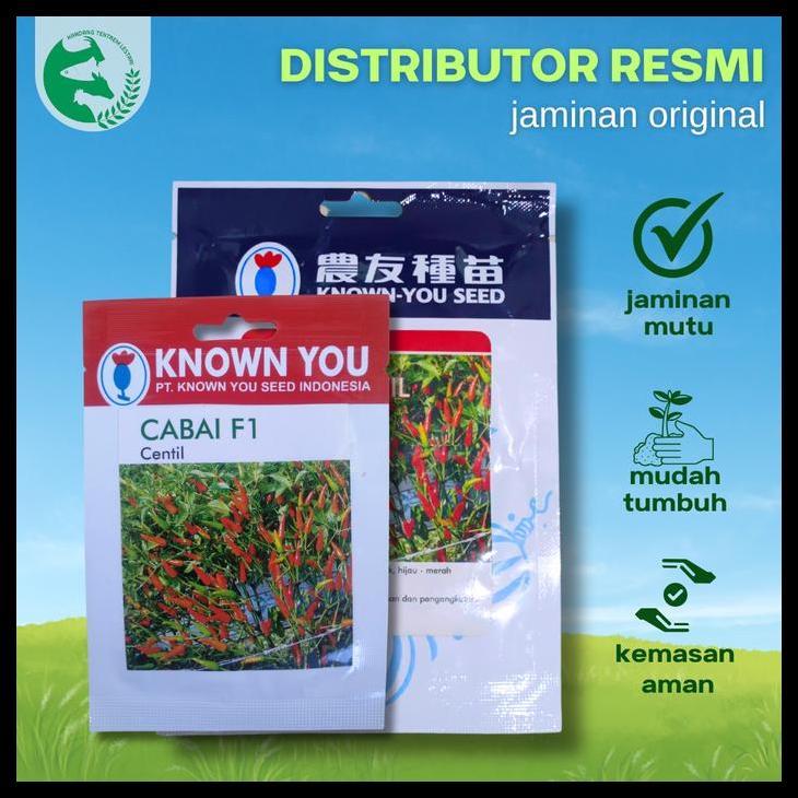 Promo / Benih Cabe Rawit Tegak Centil 10 Gram Cap Known You Seed Buah Sangat Lebat Pedas Bandel
