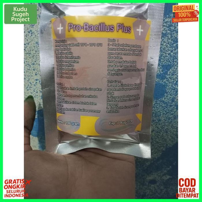 Quality Probiotik Bacillus Plus 100 Gram / Bacillus / Probiotik Bioflok / Kolam Bioflok /  Probiotik