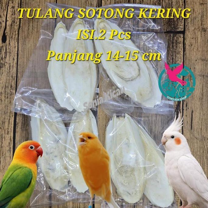 Tsk Tulang Sotong Kering Isi 2 Pcs Mengandung Calcium Untuk Burung Dan Hewan Lainnya.