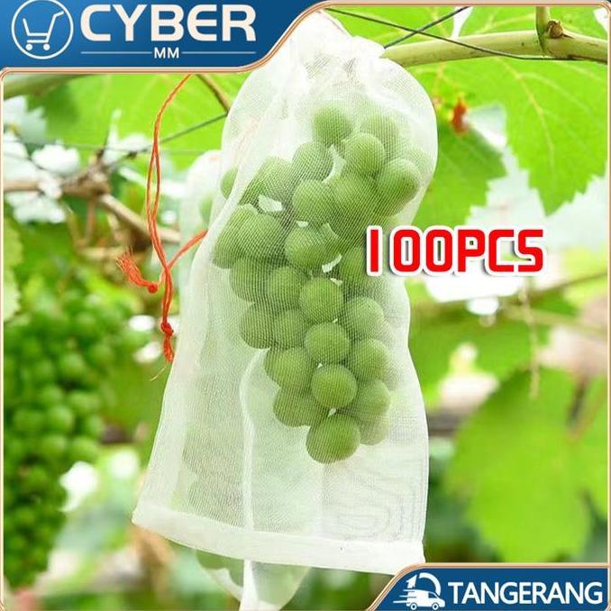 DEFAECO Jaring Pembungkus Buah Di Pohon Anggur Klengkeng Mangga fruit cover