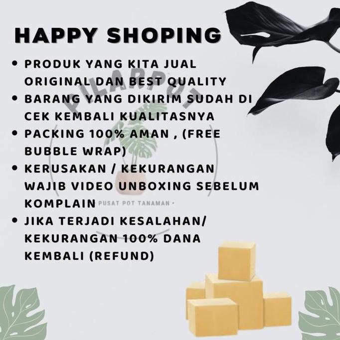 Benih Bibit Cabe Rawit Hijau Benih Unggul Jawara - CABE RAWIT TARINGE