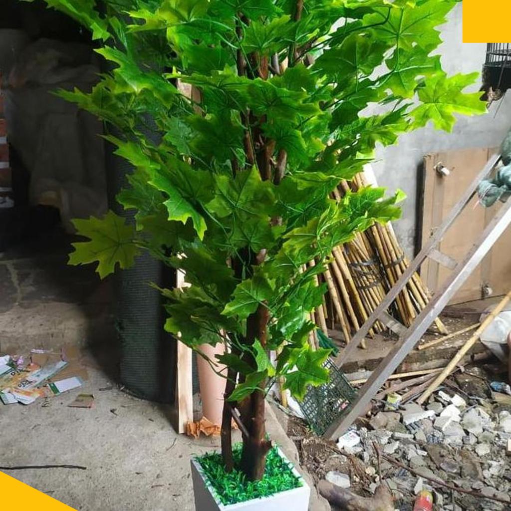 Pohon Maple Kanada Plastik Tinggi 170Cm Bahan Import Tebal Pot Kayu Warna Putih Hiasan Rumah