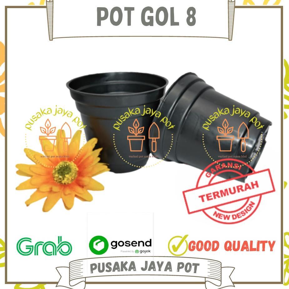 Promo Cod Murah Pot 8 Cm Hitam Pot Bunga 8Cm Plastik Kaktus Vas Bunga Kecil Hitam Pot Hidroponik Min