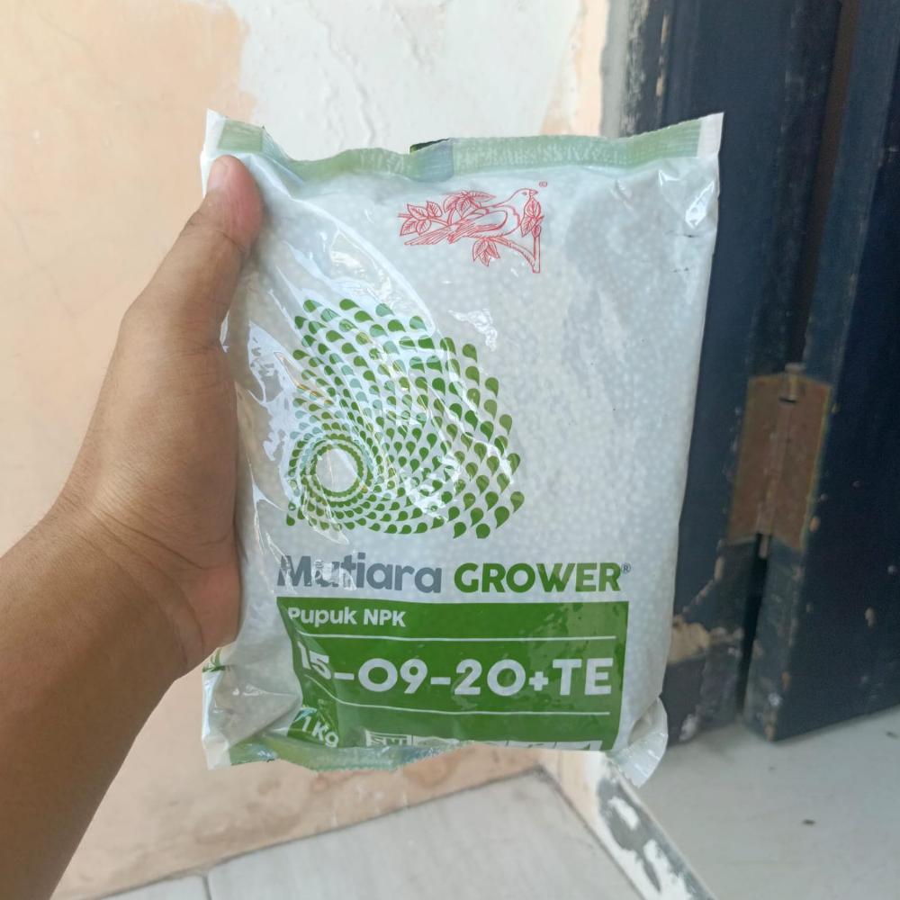 Promo Cod Pupuk Npk Mutiara Grower 1 Kg Original Pabrik ><