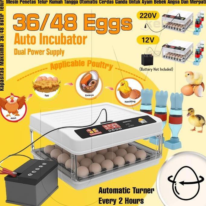 DUDLEY 36/48 Egg Mesin Tetas Telur Mesin Alat Penetas Telur Incubator Full Otomatis Digital Rak Spin