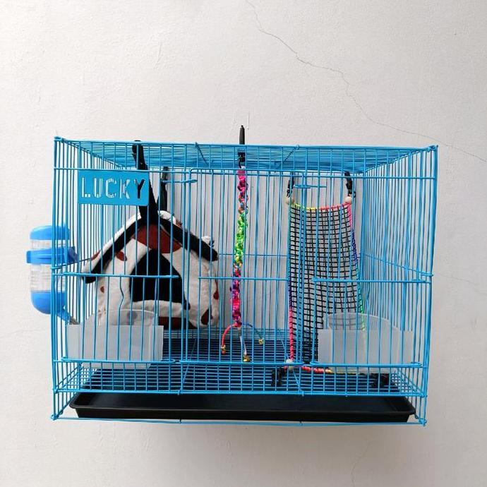 Paket Kandang Sugar Glider Istimewa, Kandang Sugar Glider Kandang Lucky