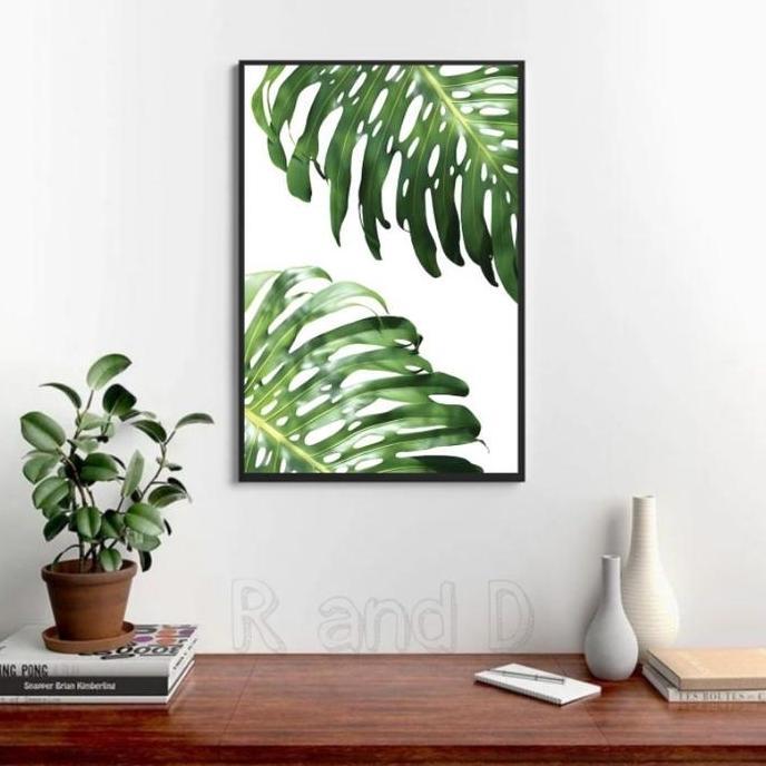 Hiasan Dinding Daun Monstera Ukuran Jumbo Hiasan dinding DAUN MONSTERA Hiasan dinding topical Ukuran
