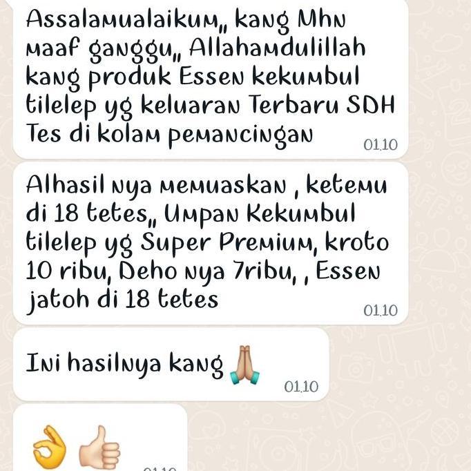 Essen Paling Gacor Untuk Lomba Mancing Ikan Mas Galapung Kilo Gebrus Umpan Pancing