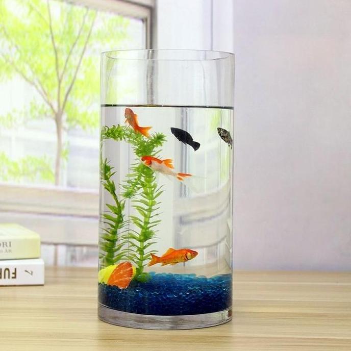 Hobiikan- Aquarium Kaca Tabung / Akuarium Ikan Hias Guppy Cupang Aquascape Mini