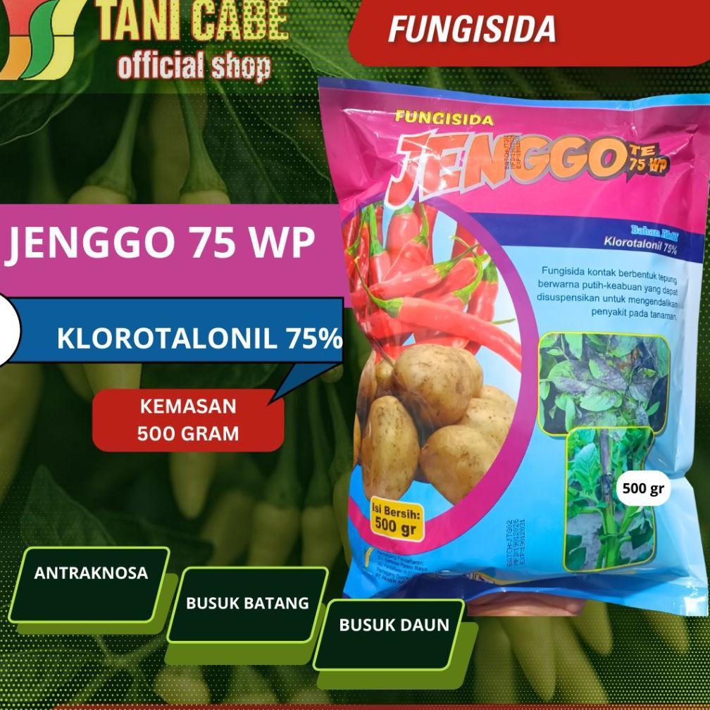 Ready FUNGISIDA JENGGO 75 WP KEMASAN 500 GRAM /BUSUK BATANG CABAI