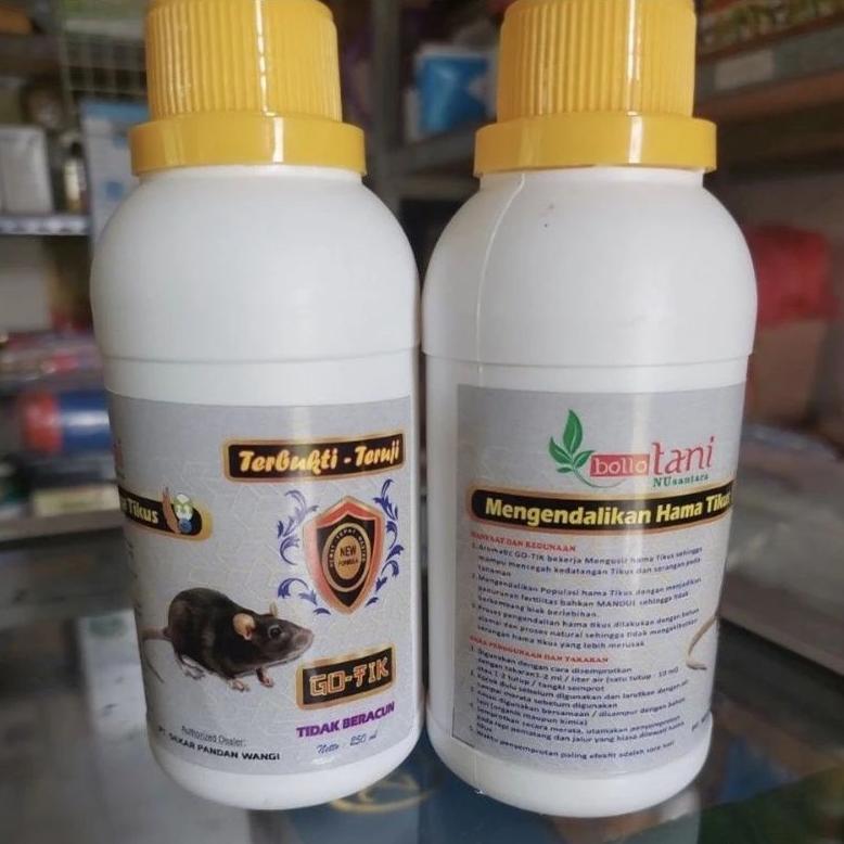 Ready Gotik 250ml Original Bolo Tani
