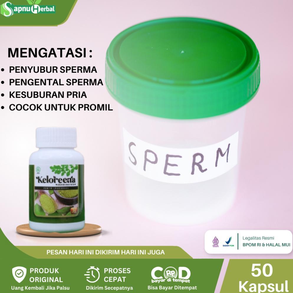 (Terbaru) Obat Penyubur Sperma, Pengental Sperma Pria, Menambah Sel Sperma, Sperma Kosong, Sperma En