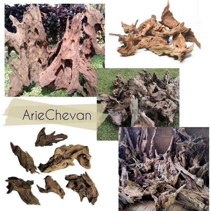 kayu rentek untuk mendekorasi aquarium aquascape