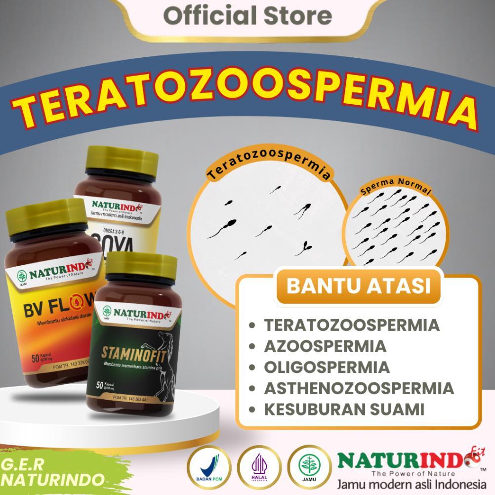 (Terbaru) Herbal Teratozoospermia Bentuk Sperma Abnormal Kesuburan Sperma Pria Staminofit GER NATURI