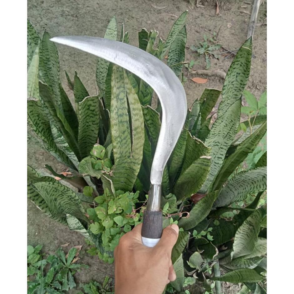 Arit Potong Ranting Baja Super Tajam Original
