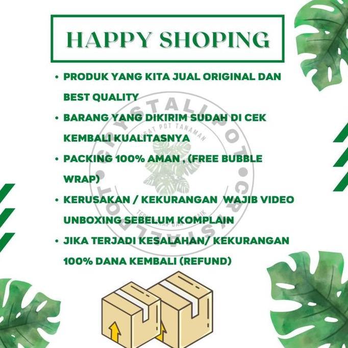 Giardino- Benih Bibit Cabe Keriting Pm 999 F1 Cap Panah Merah - Cabai Pm 999 F1
