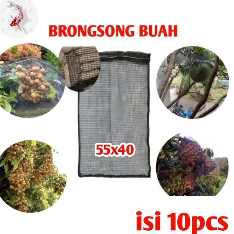 Promo Cod Brongsong Buah Klengkeng Mangga Anggur Isi 10 ><