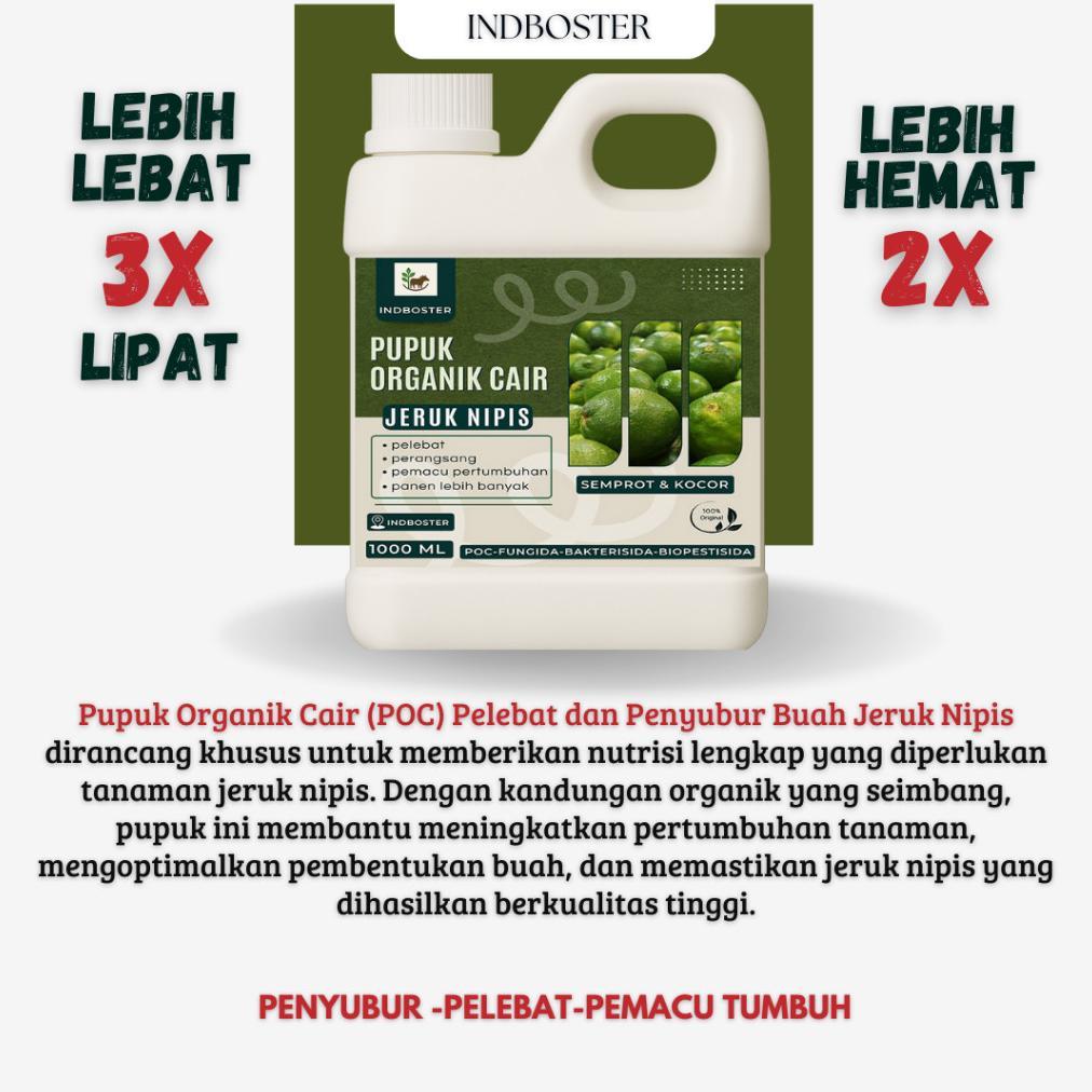 Promo Cod Pupuk Jeruk Nipis / Pupuk Buah Jeruk Nipis / Pupuk Cair Buah Pelebat Tanaman Buah Jeruk Ni