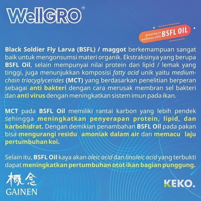 Fisch- Pakan Koi Wellgro 2 Kg M Floating Makanan Ikan Koi