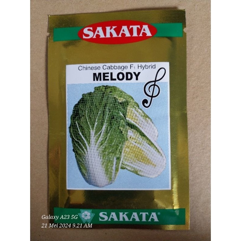 Benih Sawi Putih F1 Melody Sakata 10 Gram