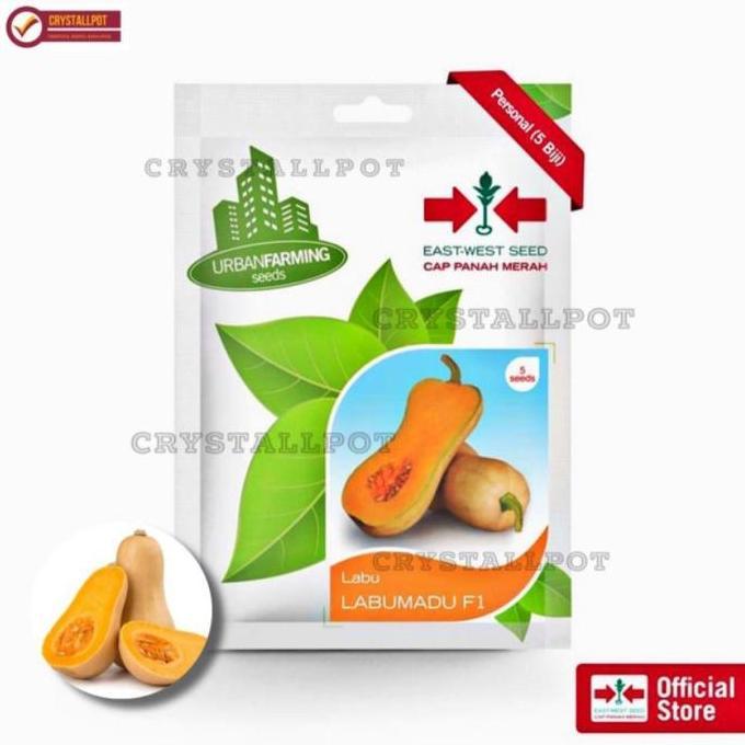 Huayuan- Benih Bibit Labu Madu F1 Cap Panah Merah - Labu Madu F1