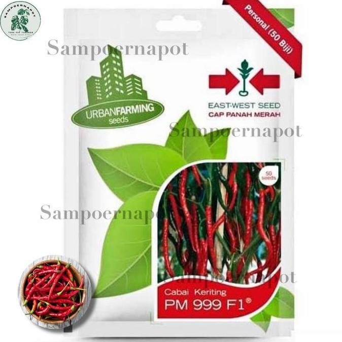Huayuan- Benih Bibit Cabe Keriting Pm 999 F1 Cap Panah Merah - Cabai Pm 999 F1