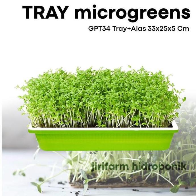 Parkz- Jirifarm - Microgreen Sprouting Tray With Base - Tray Semai Microgreen Dengan Alas