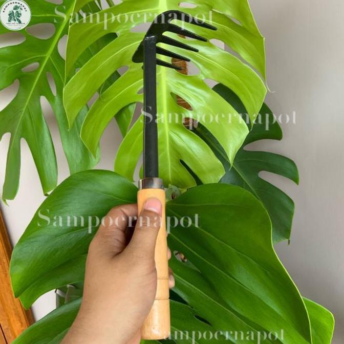 Parkz- Garpu Besi Gagang Kayu Untuk Garukan Tanah Berkebun - Garpu Tanah