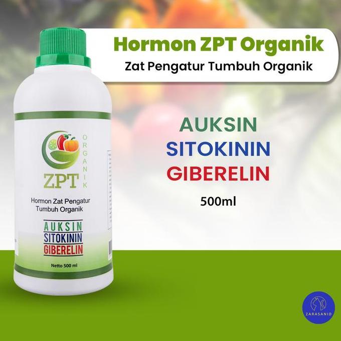 Parkz- Hormon Zpt Organik Zat Pengatur Tumbuh Auksin Giberelin Sitokinin