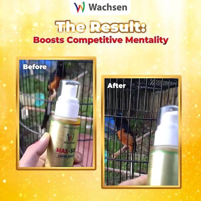 Dongmul- Max Sol Super Serum Vitamin Burung Sultan Booster Gacor Rahasia Performa Meh Kicau Kristal 
