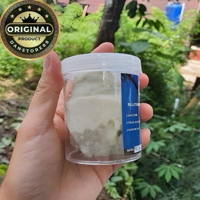 Dongmul- Pulut Burung Super Lengket Putih Bersih 100Gram/1Ons Pulut Dl