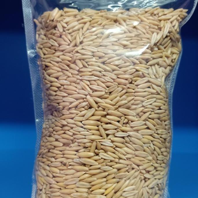 Dongmul- Haver Seed Kulit 500Gr - Pakan Burung Kenari Lovebird Sunconure Afgrey